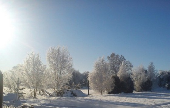 White House Farm Campsite - Snowfall 2010